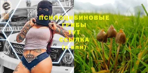 мдма Бронницы