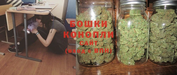 шишки Бугульма